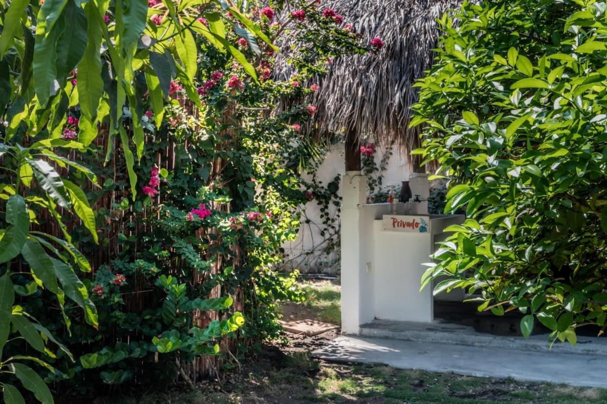 Zoah Surf Boutique Hotel, El Paredon El Paredon Buena Vista Exterior photo